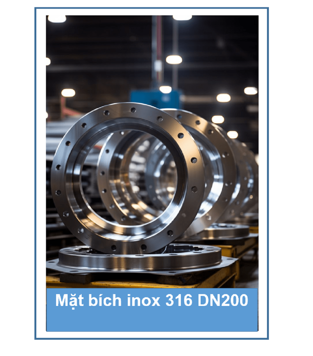 mặt bích inox 316 DN200 6