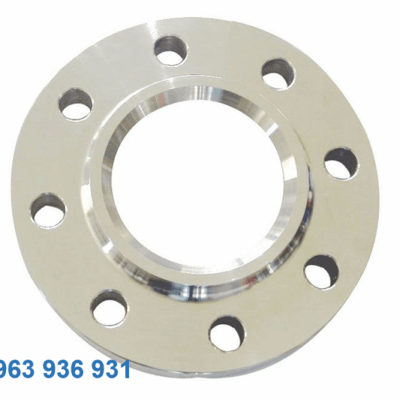 Mặt bích inox 316 DN250