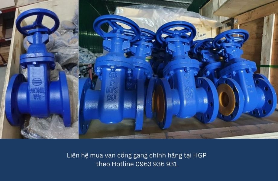 Chi tiết van cổng gang chính hãng