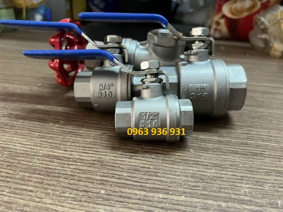 Van bi ren inox 316 dn40 4