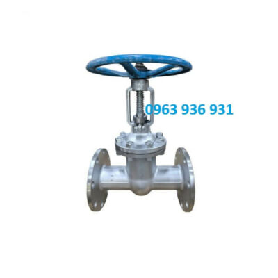 Van cổng inox DN100