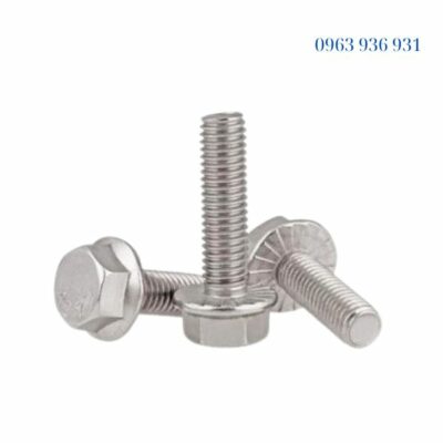 Bulong inox M12