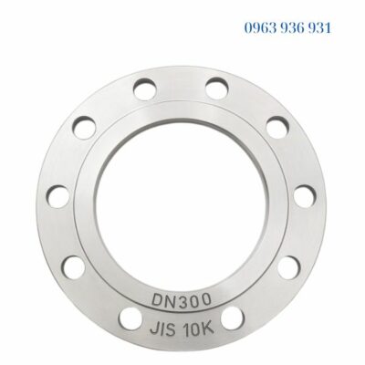 Mặt bích inox 304 DN300